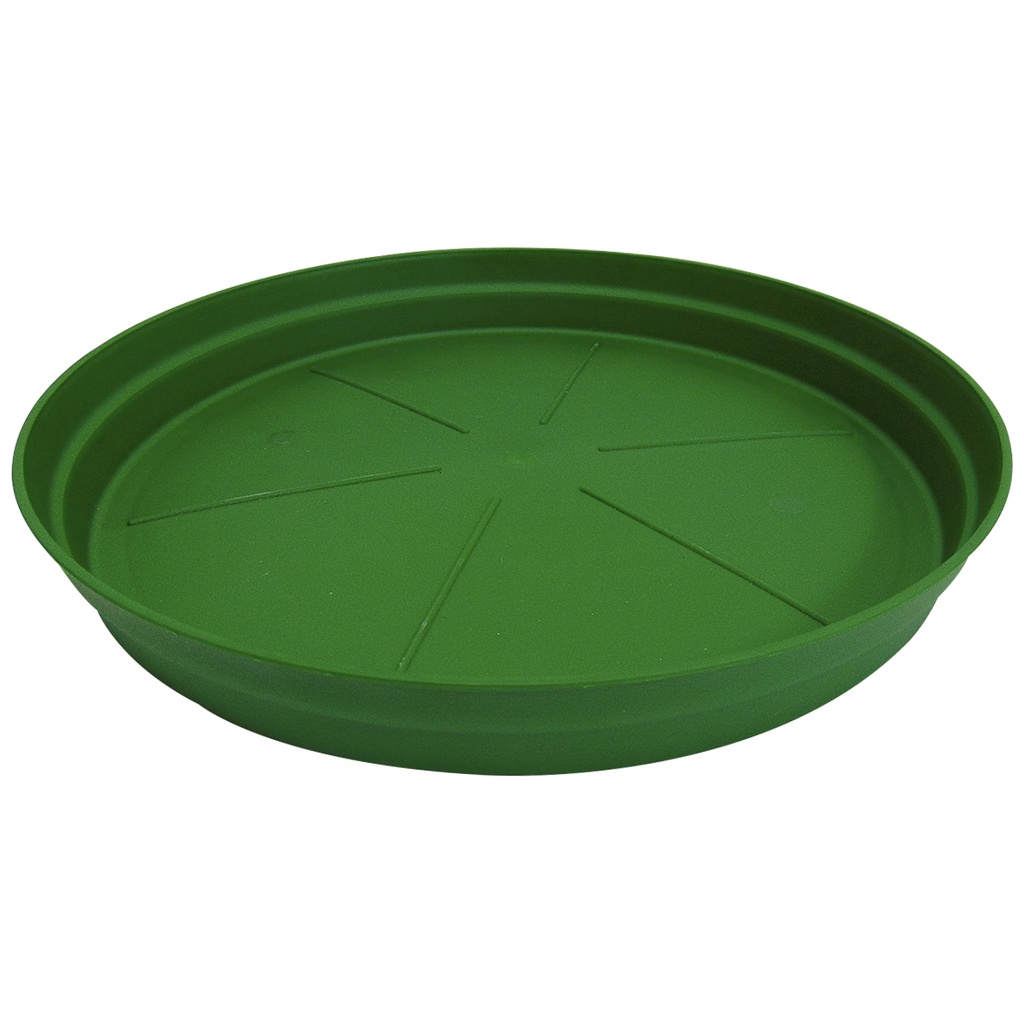 PLATO MATERO PP CLASICO D-50 VERDE DP