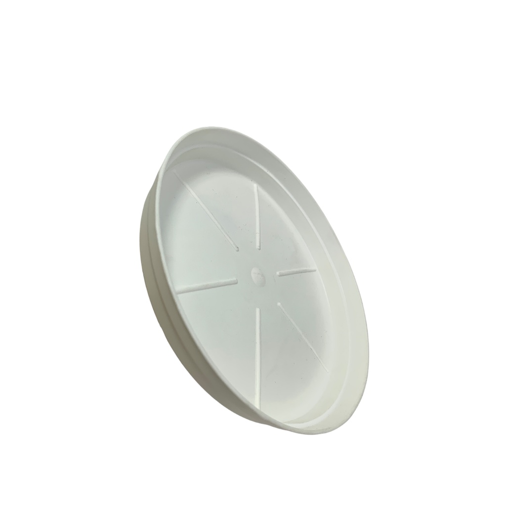 PLATO MATERO PP CLASICO D-20 BLANCO DP