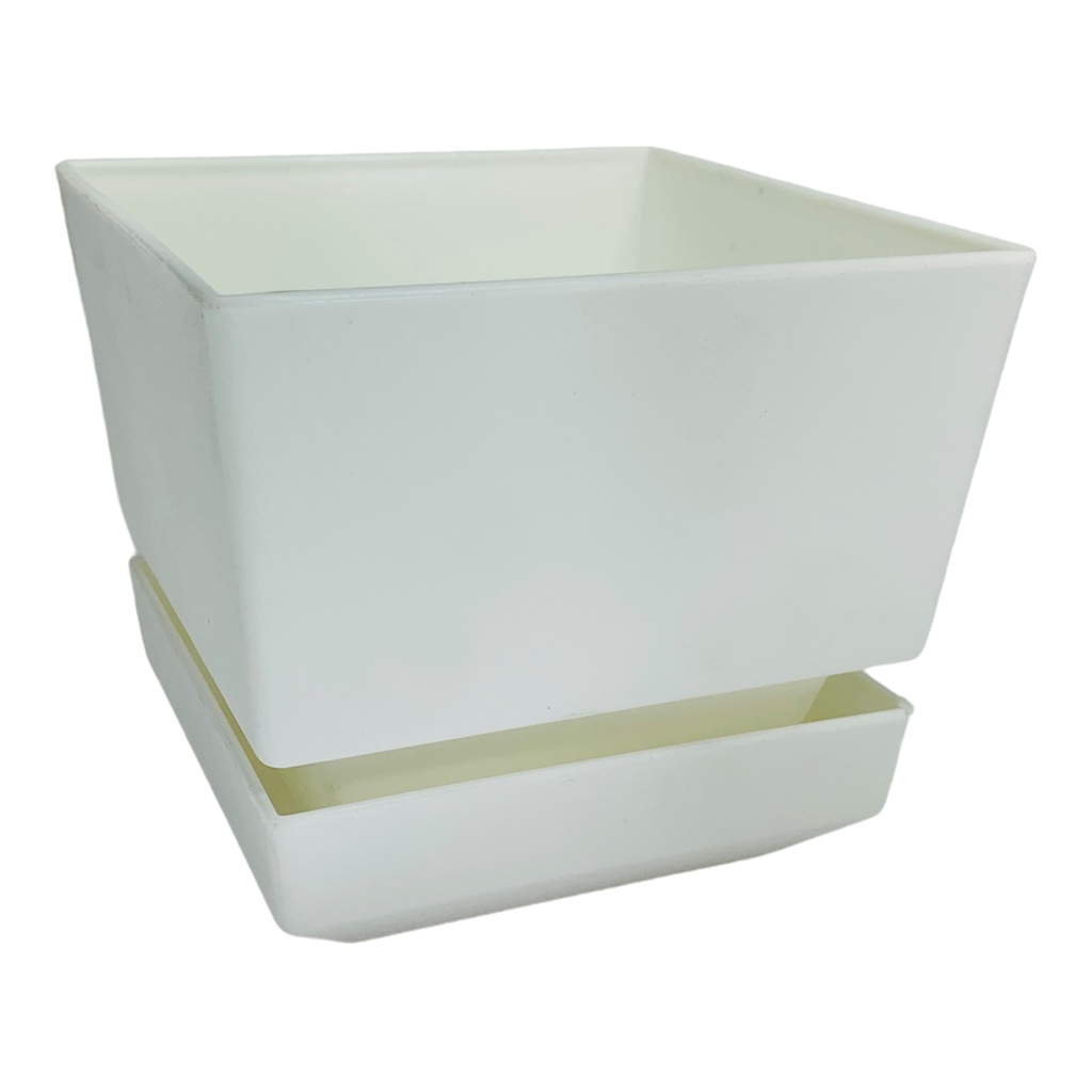 MATERO Y PLATO PP ART CUAD TEXT L12 BLANCO DP