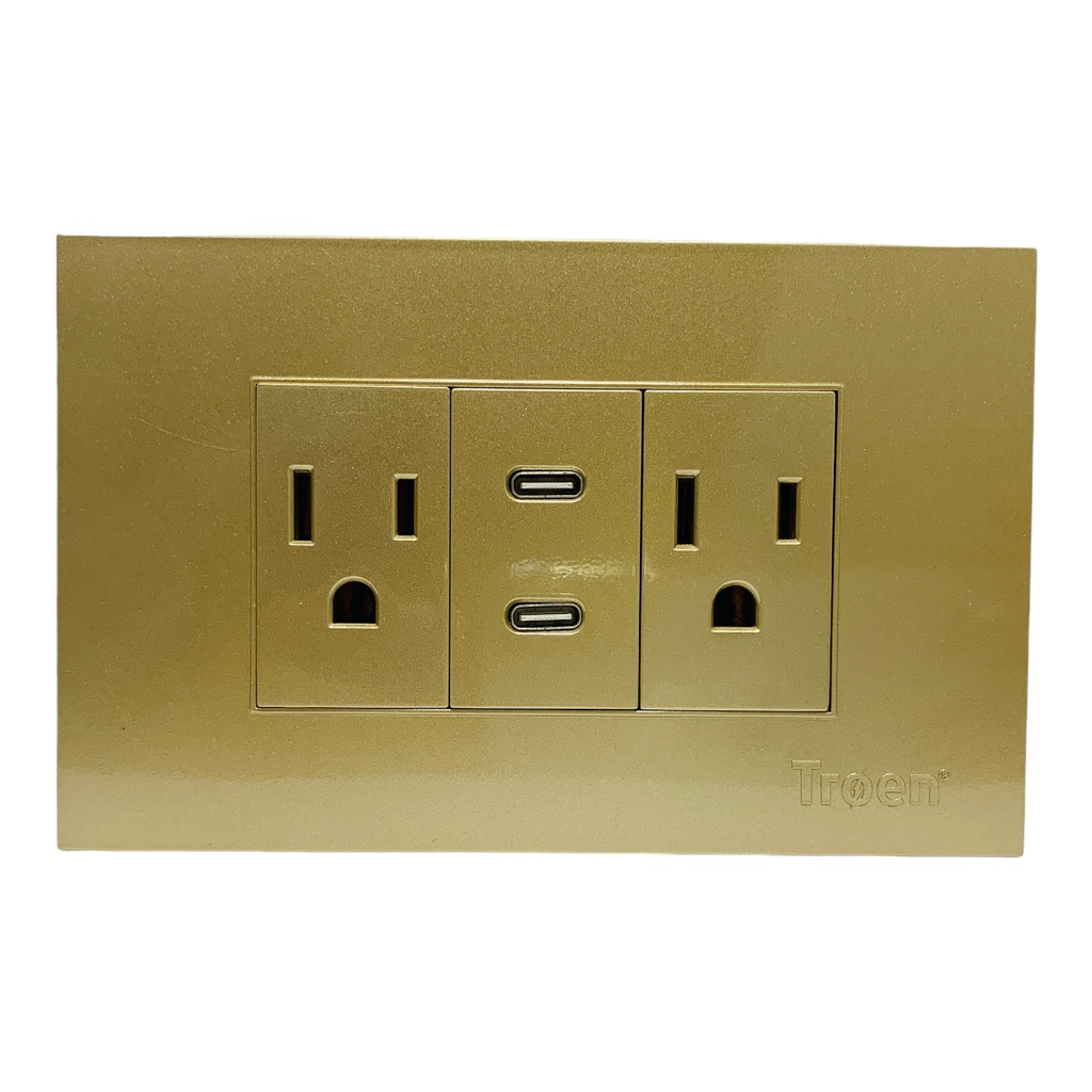 TOMACORRIENTE DOBLE CON 2 TIPO C DORADO TROEN