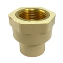 ADAPTADOR CPVC PRES 1" C X HR DE BRONCE TUBRICA