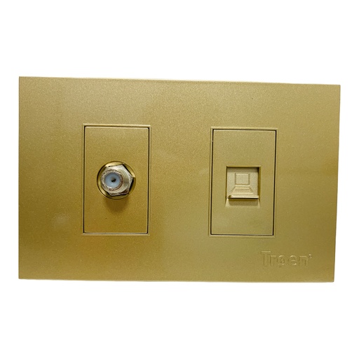 [11739] TOMA PARA CABLE COAXIAL Y RED RJ45 DE PARED DORADO TROEN