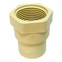 ADAPTADOR HEMBRA CPVC PRES CTS 3/4" HRXC