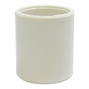 UNION PVC CONDUIT 3/4" CXC TUBRICA